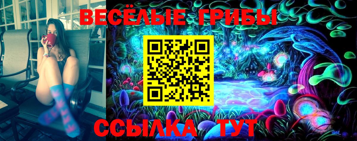 Лесосибирск  Псилоцибиновые грибы Psilocybe  Вход с VPN 