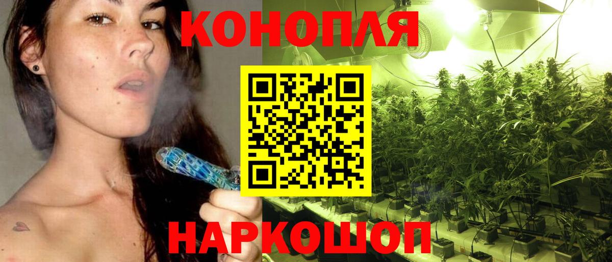 Бошки марихуана семена Лесосибирск